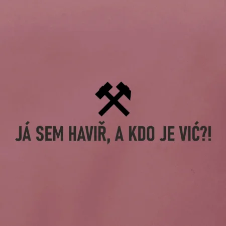 JÁ SEM HAVIŘ, A KDO JE VIĆ?!﻿