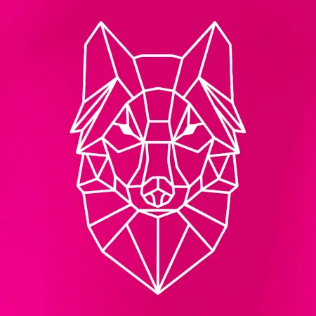 Geometrie - vlk