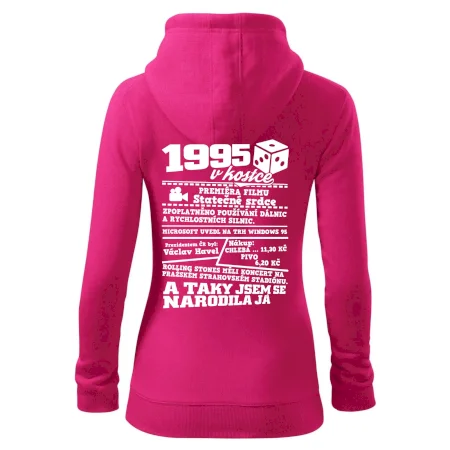 1995 v kostce