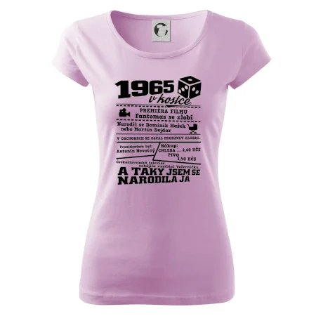 1965 v kostce