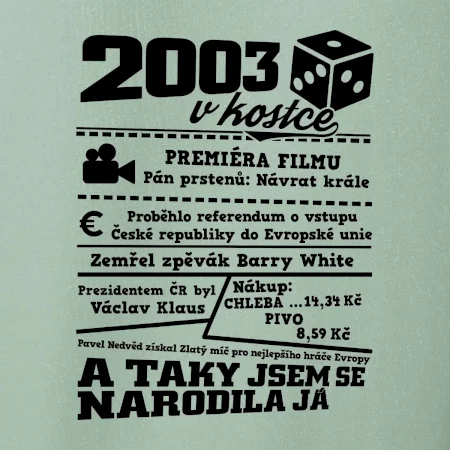 2003 v kostce