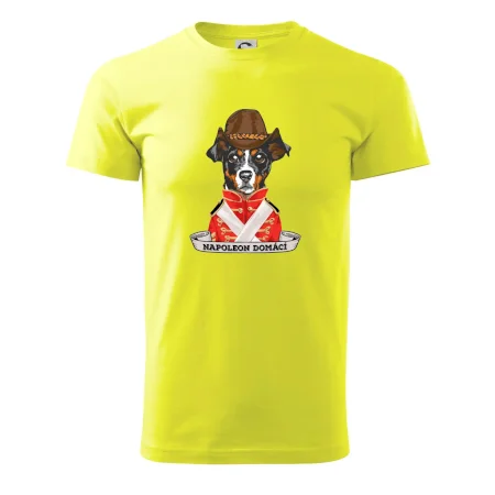 Napoleon domácí pes kříženec