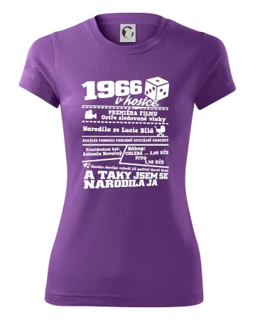 1966 v kostce