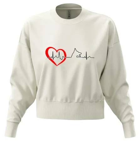 Německý ovčák ekg