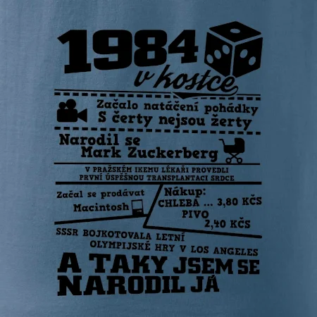1984 v kostce
