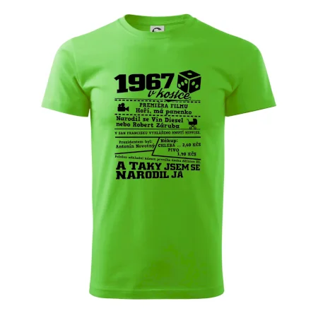 1967 v kostce
