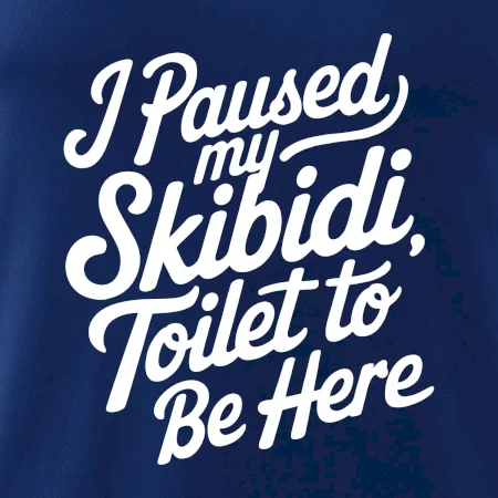 I Paused My Skibidi Toilet to be Here