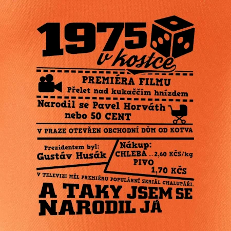 1975 v kostce