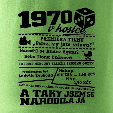 1970 v kostce