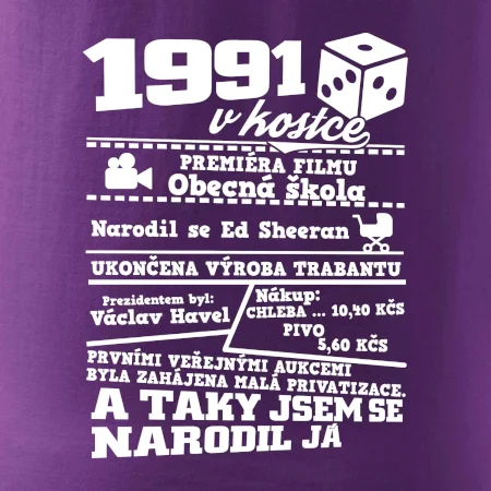 1991 v kostce