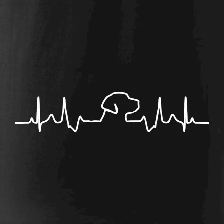 Labrador EKG