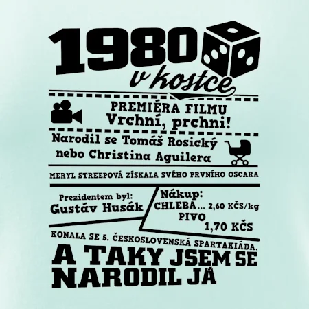 1980 v kostce