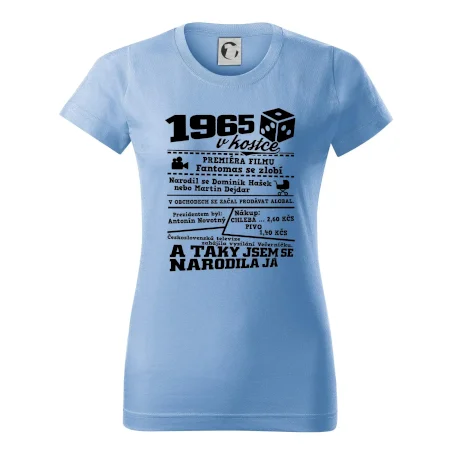 1965 v kostce
