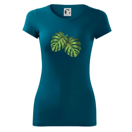 Monstera - dva listy