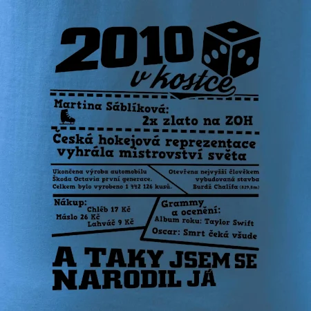 2010 v kostce