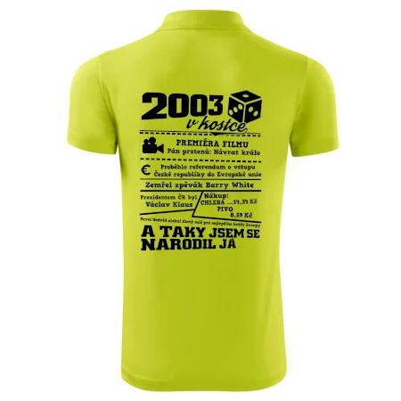 2003 v kostce