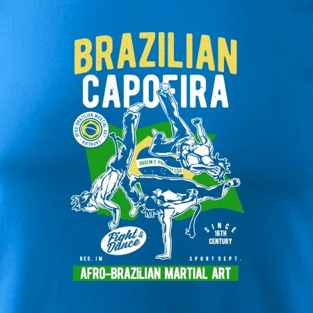 Brazilian Capoeira