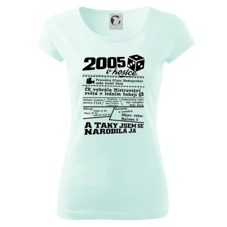 2005 v kostce