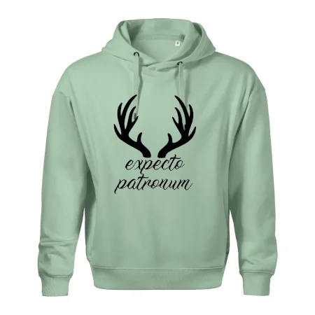 Harry - Expecto patronum