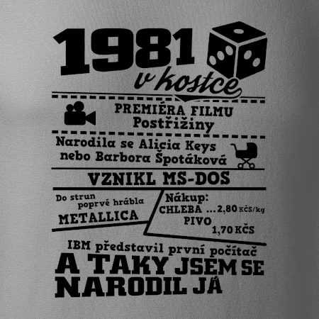1981 v kostce