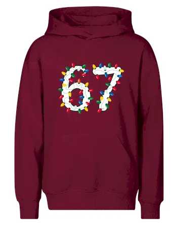 67 vánoční osvětlení
