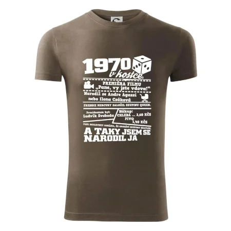 1970 v kostce