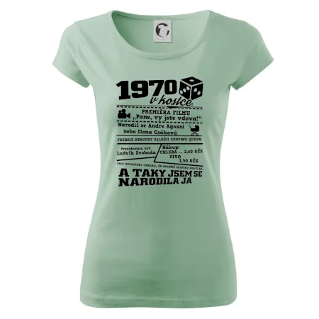 1970 v kostce