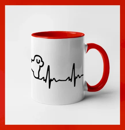 Bišonek ekg
