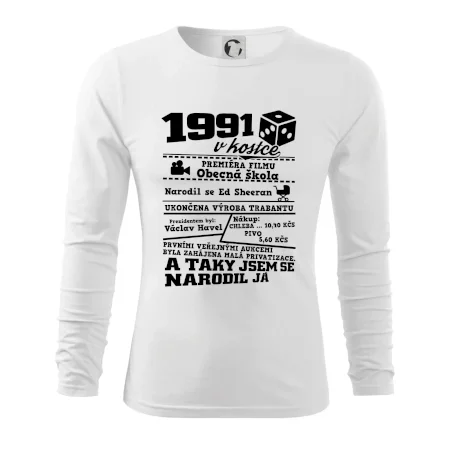 1991 v kostce