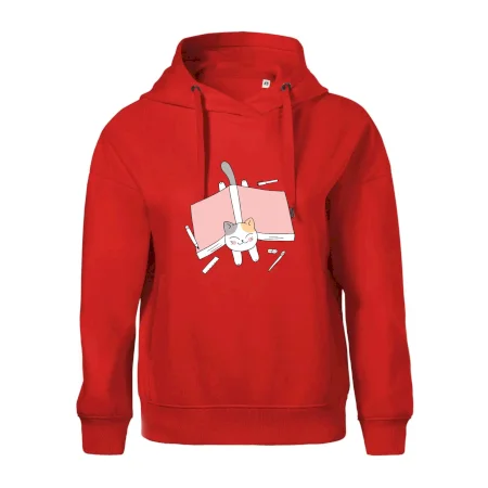 Učení na státnice kočka