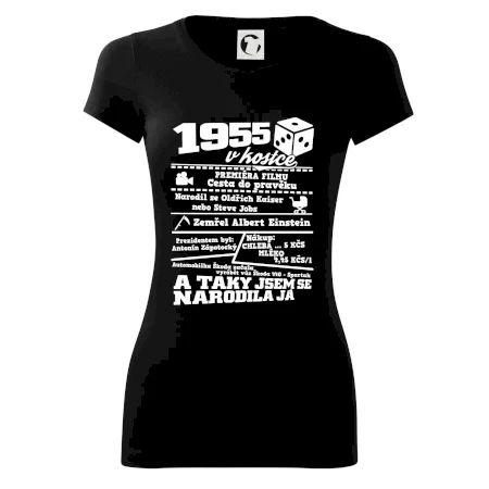 1955 v kostce
