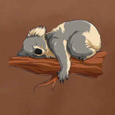 Koala na větvi