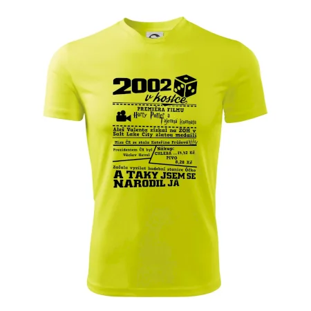 2002 v kostce