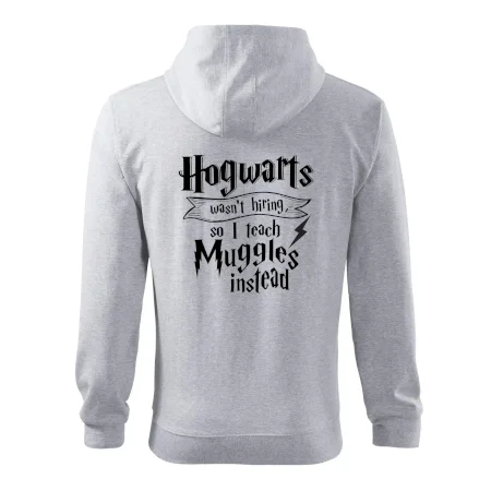 Harry - Hogwarts wasn’t hiring, so I teach Muggles instead