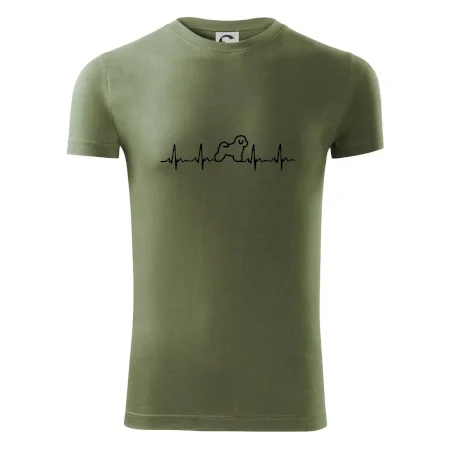 Bišonek ekg