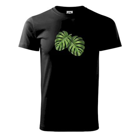 Monstera - dva listy