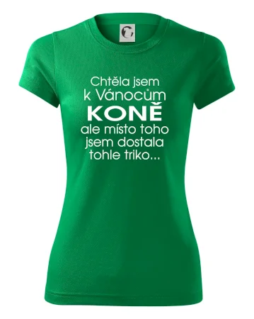 Chtěla jsem k Vánocům koně