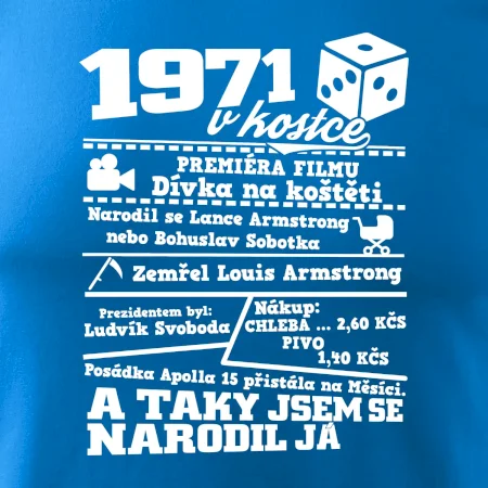 1971 v kostce