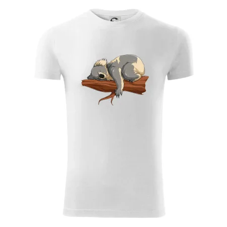 Koala na větvi