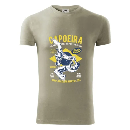 Capoeira  Afro-brazil art