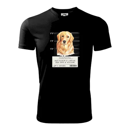 Lump a darebák zlatý retrívr