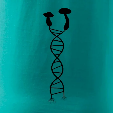 DNA houby