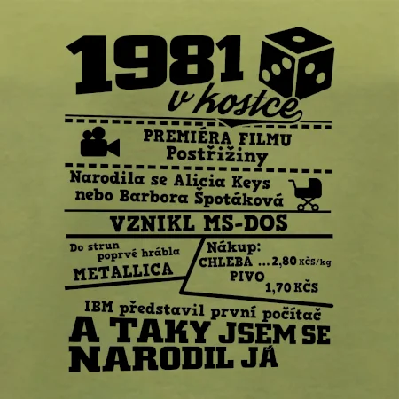 1981 v kostce
