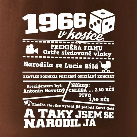 1966 v kostce