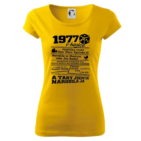 1977 v kostce