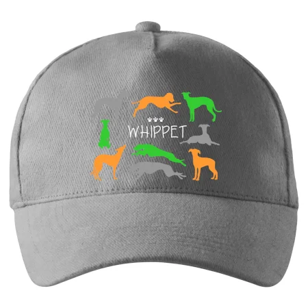 Whippet barevný