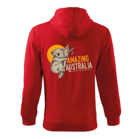Amazing Australia koala