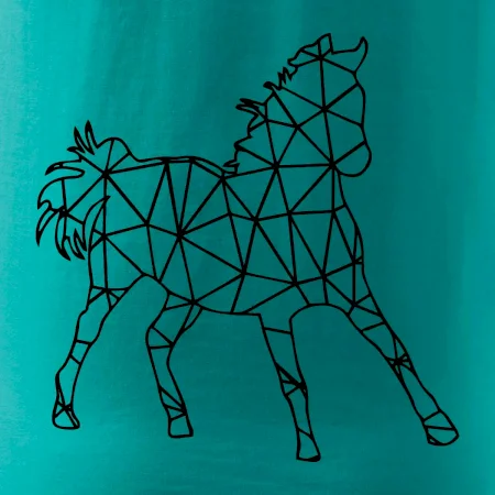 Geometrie - kůň jednobarevná