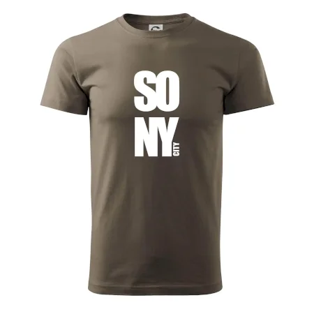SO NY city