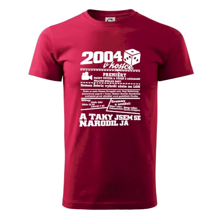 2004 v kostce
